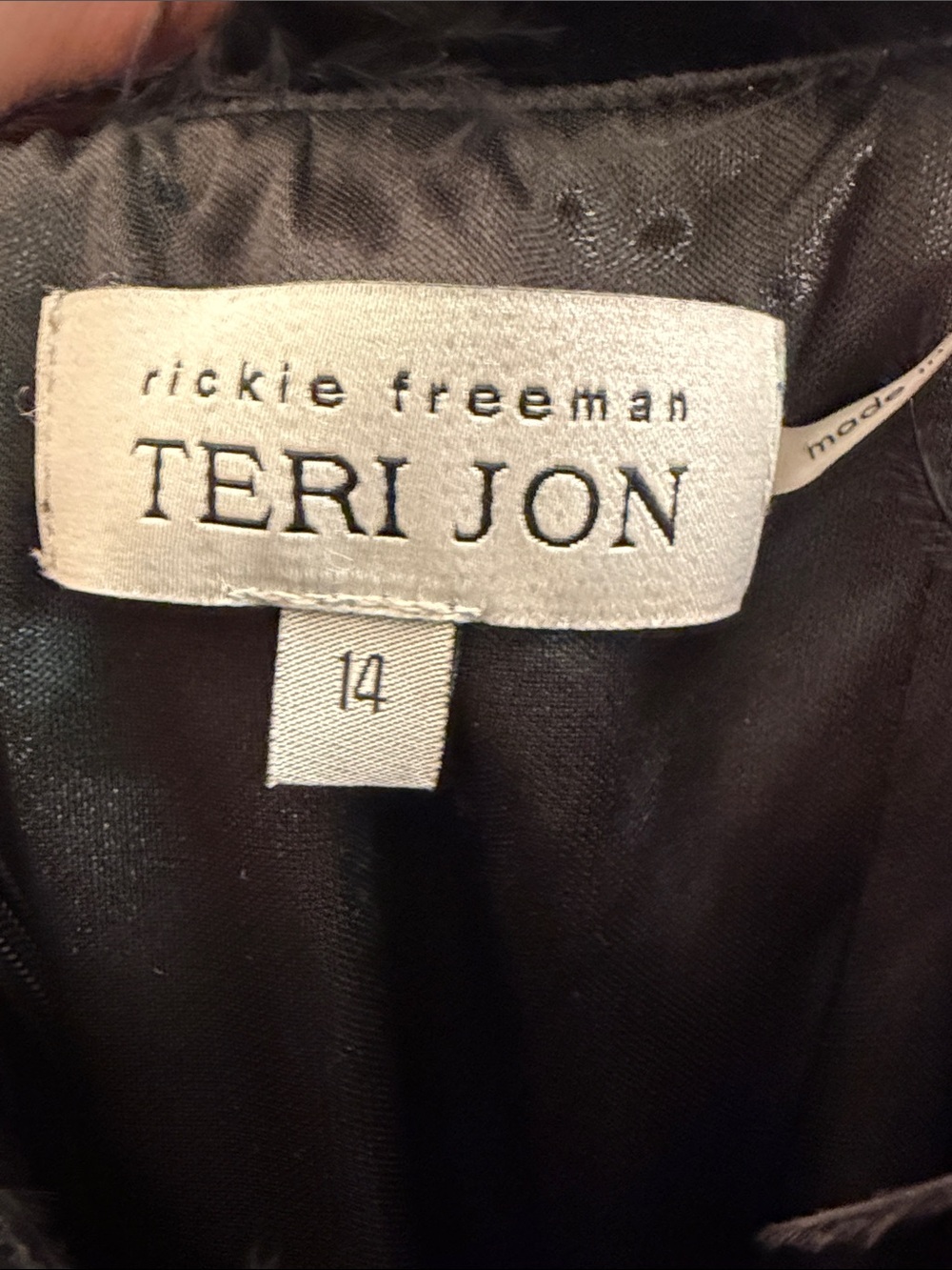 Teri Jon Black Velvet Dress with Feather Trim - Picture 2 of 4